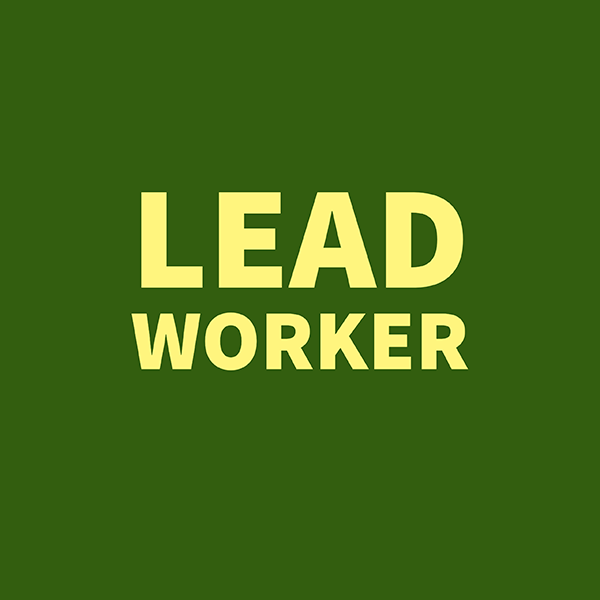 Lead Worker